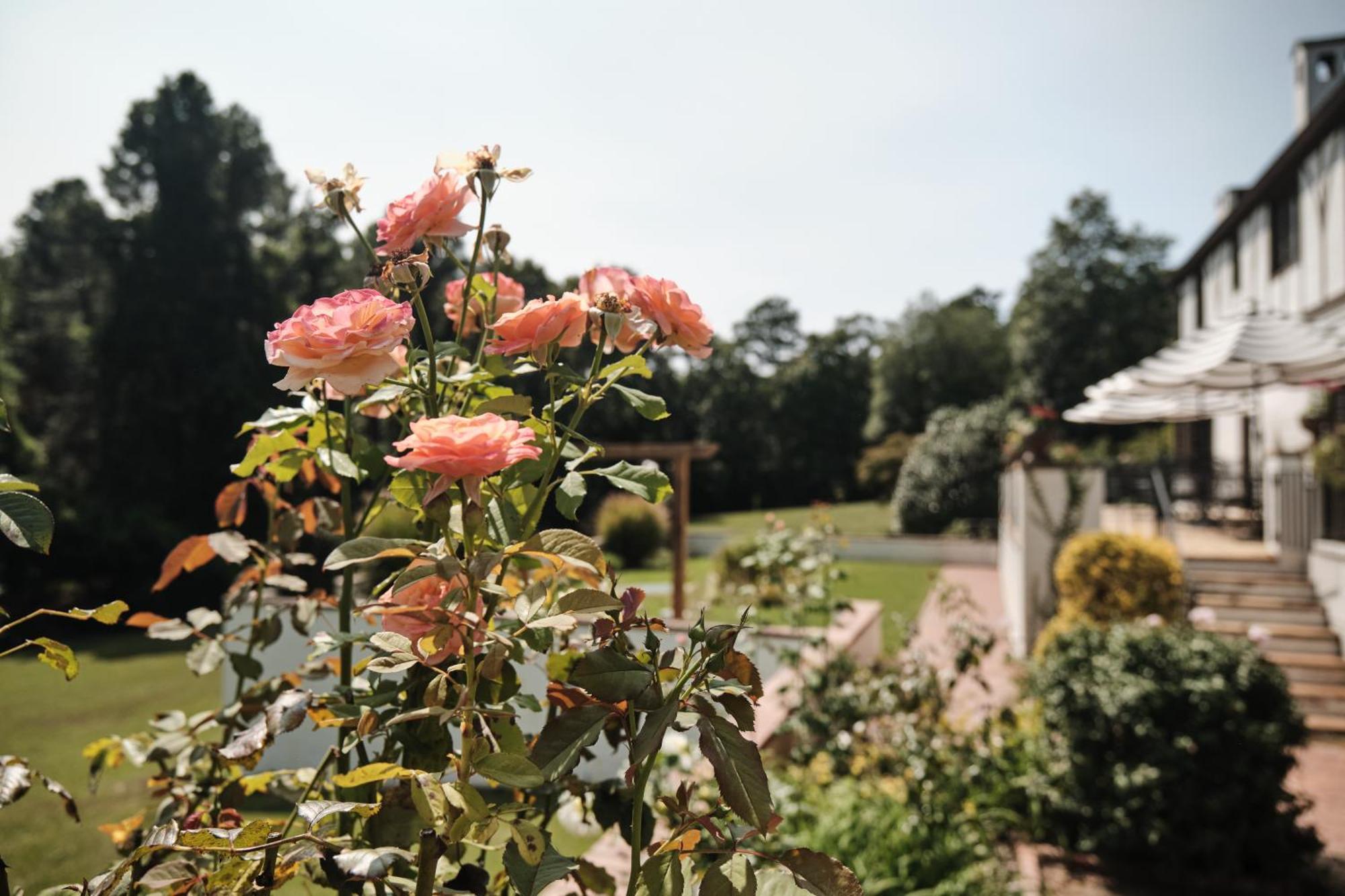 Duncraig Manor Bed & Breakfast Southern Pines Bagian luar foto